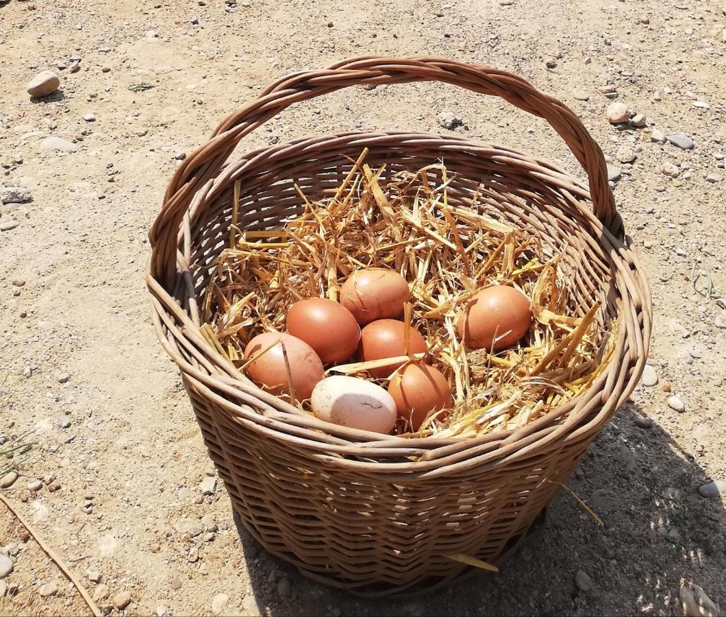 مبيت وإفطار Vilacolum Somnis De L'Emporda المظهر الخارجي الصورة